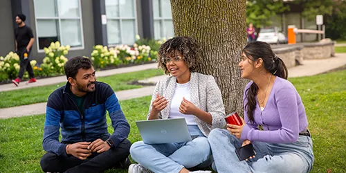 Three students sitting under a tree talking and holding laptop.